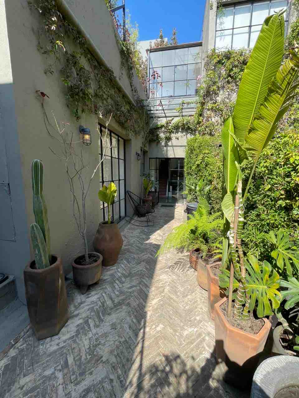 A serene outdoor pathway is lined with tall planters showcasing various plants, including cacti and tropical greenery. Sunlight filters through foliage above, casting gentle shadows on the textured paving stones, while modern metal doors can be seen in the background.
