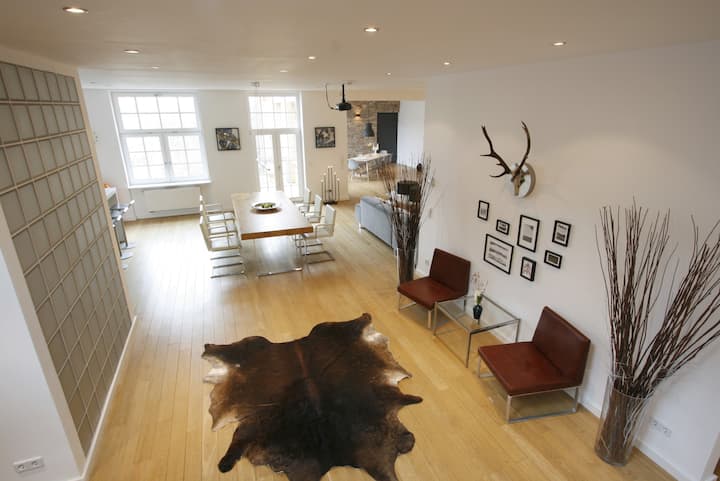 Huge Loft 2368 Sq. Ft. + 1076 Sq. Ft. Roof Terrace - Berlin
