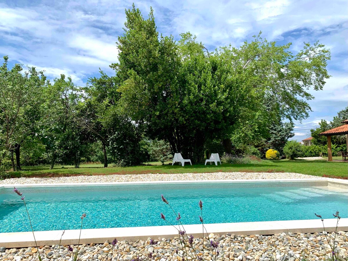 The image highlights a serene salt-water swimming pool surrounded by a spacious garden. Lush trees provide shade, while two white lounge chairs are situated nearby, inviting relaxation. The pool’s clear water reflects the sky, and colorful stones line its edge, enhancing the natural setting.