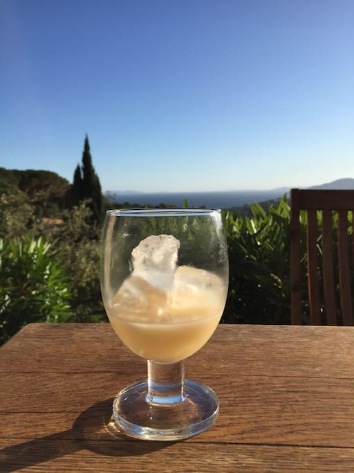 enjoy your pastis