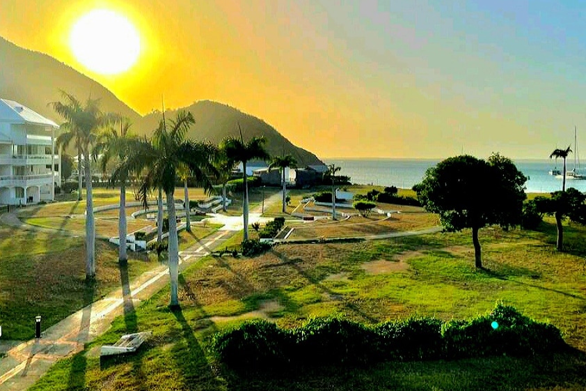 A serene landscape features palm trees casting long shadows across green lawns, framed by gentle hills and the ocean in the background. The sun rises over the horizon, casting a warm glow that enhances the tranquil environment.