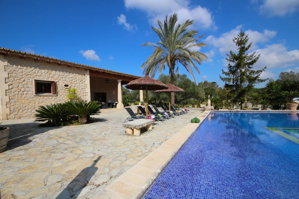 Pool area with sun beds and parasols