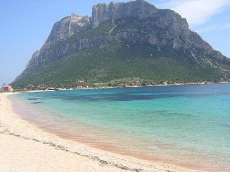 mare