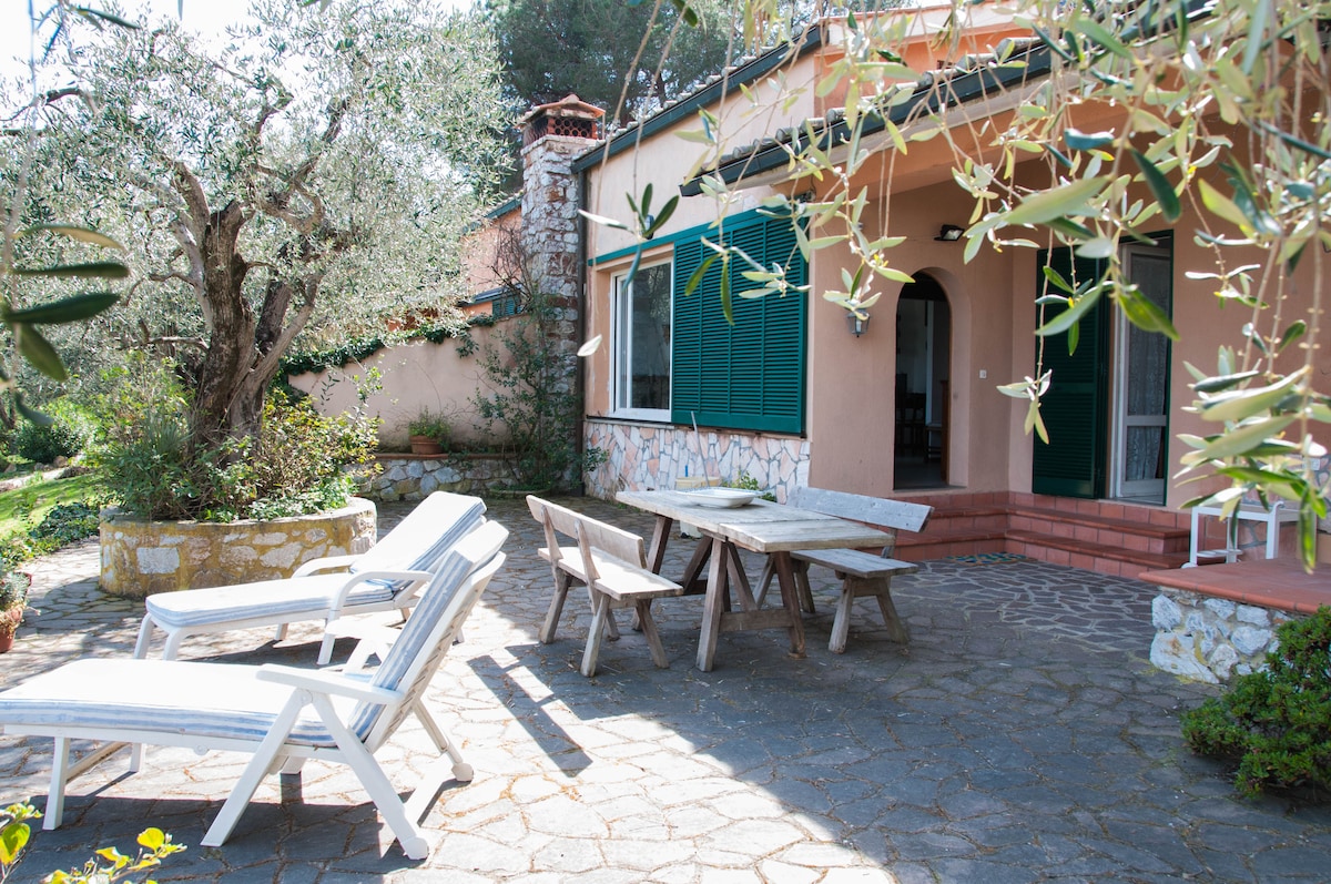 A private outdoor area features stone pathways surrounded by greenery. Sun loungers are positioned next to a rustic wooden table and chairs, inviting relaxation. The house's entrance is framed by olive trees, with large windows that open to the garden, providing natural light.