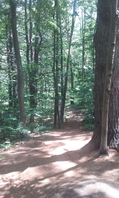 Easy to navigate local hiking at Hadwen Park