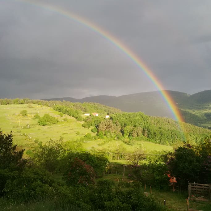 vue de la cuisine