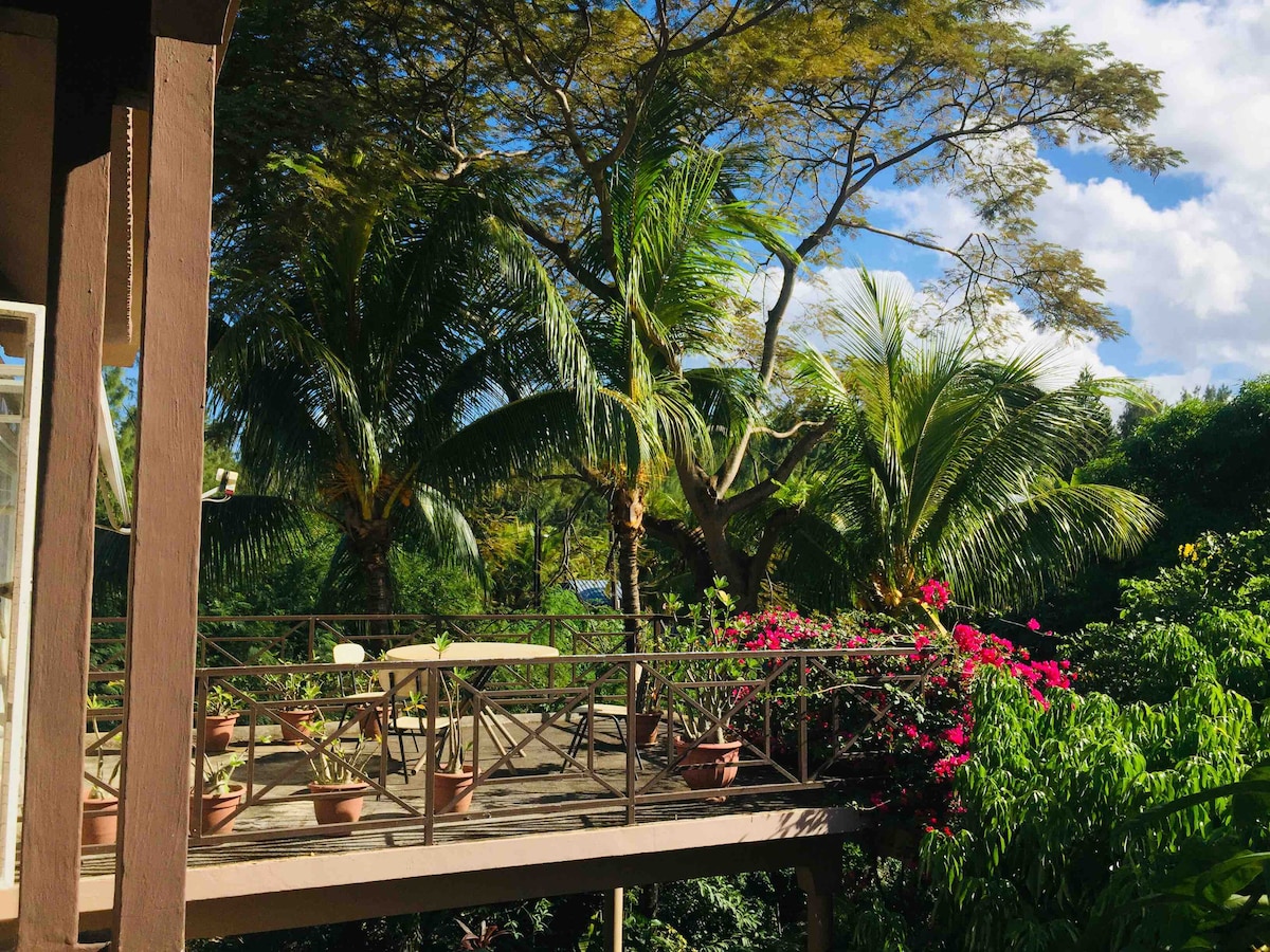 A spacious outdoor deck is surrounded by lush greenery and vibrant flowering plants. Several potted plants adorn the area, while wooden tables and chairs provide a comfortable setting for relaxation. Towering palm trees offer shade under a bright blue sky.