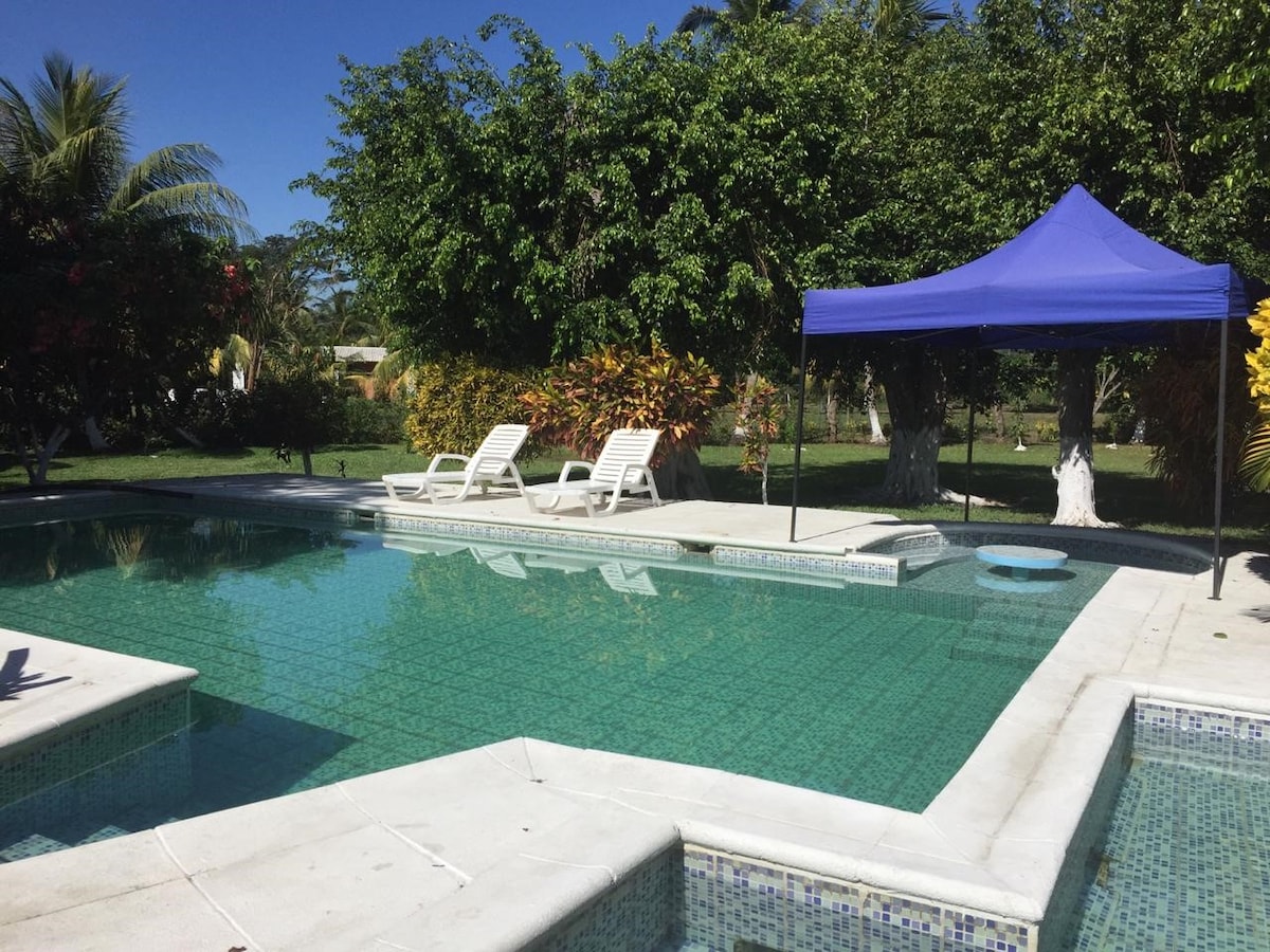 A large swimming pool with clear water is surrounded by lush greenery and tropical plants. Two lounge chairs are positioned beside the pool, offering a place to relax. A blue tent provides shade to the area, enhancing the outdoor experience.