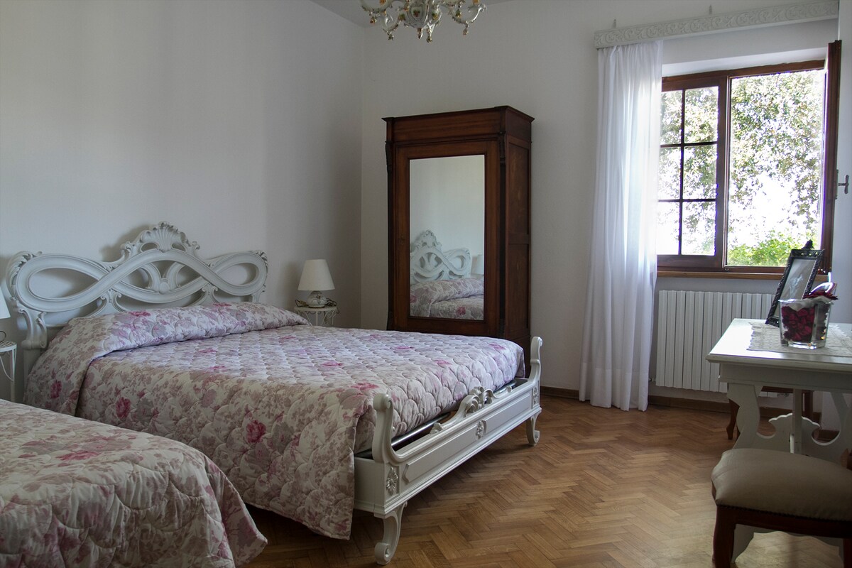 מצלמה ביאנקה