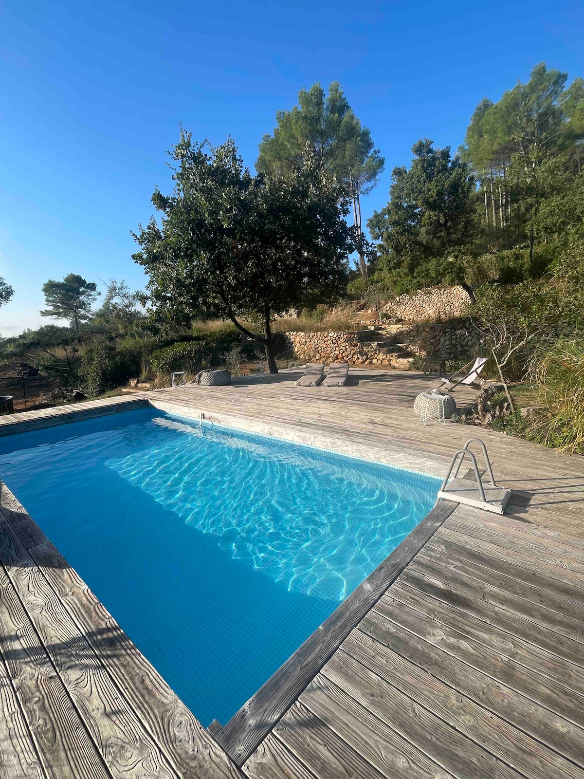 A serene swimming pool is surrounded by wooden decking, with gentle sunlight reflecting off the clear water. Lush greenery and trees frame the area, providing a peaceful natural setting. Lounge chairs are positioned nearby for relaxation under the open sky.