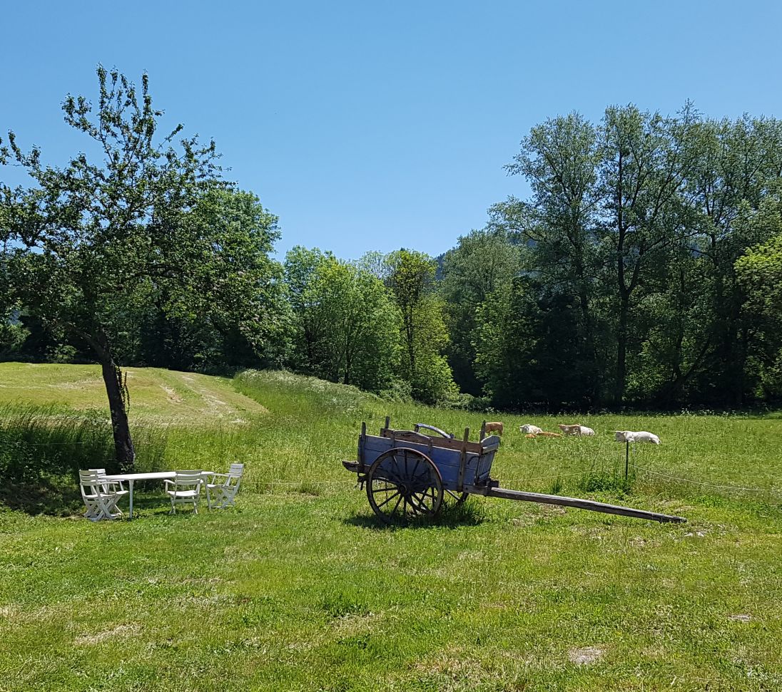 A serene outdoor space is showcased with a wooden cart positioned on green grass. A small table and chairs are visible nearby, surrounded by a lush landscape of trees and open fields under a clear blue sky.