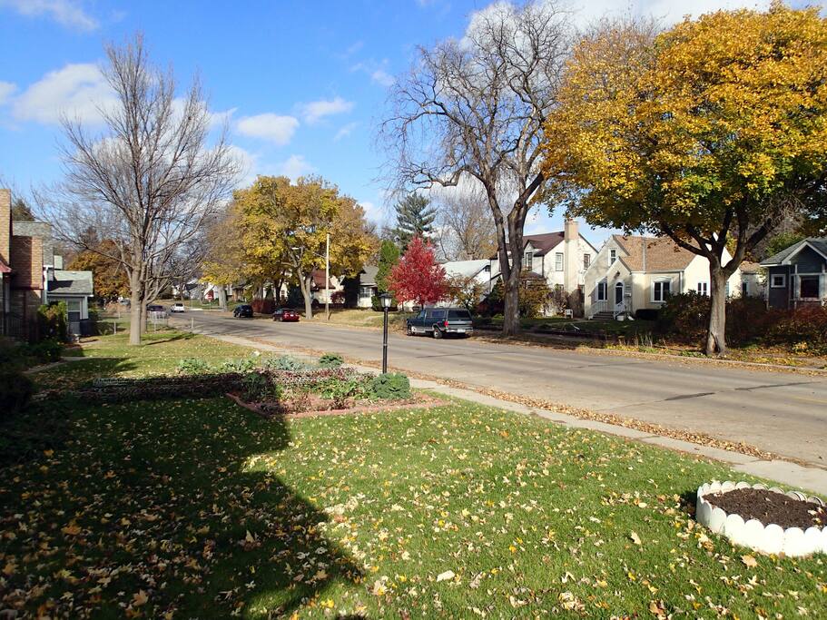 Our quiet, sleepy neighborhood with close access to Blue Line Train.