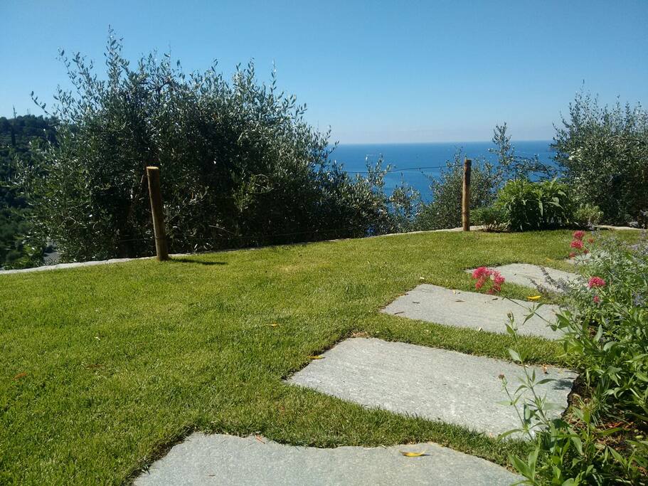 From the garden