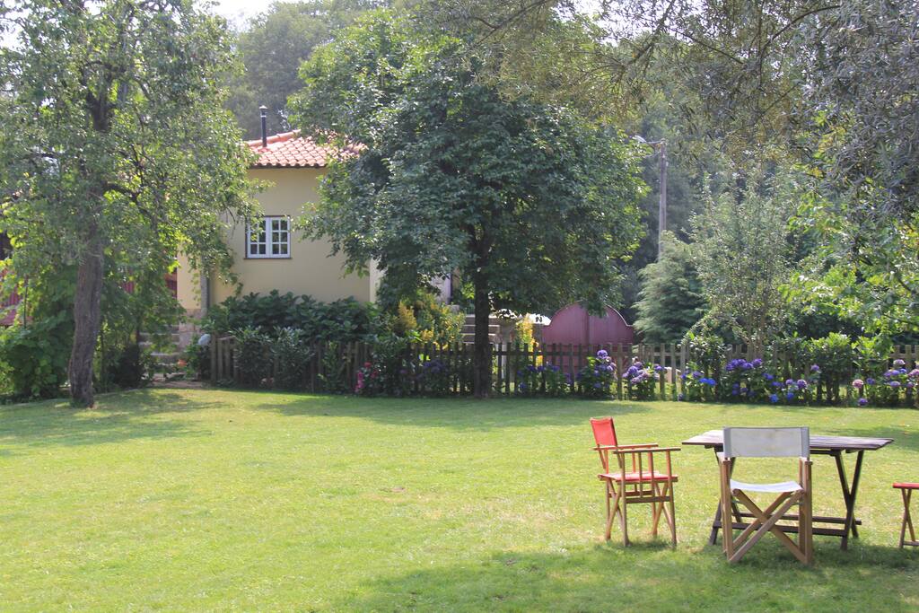 Jardim e casa