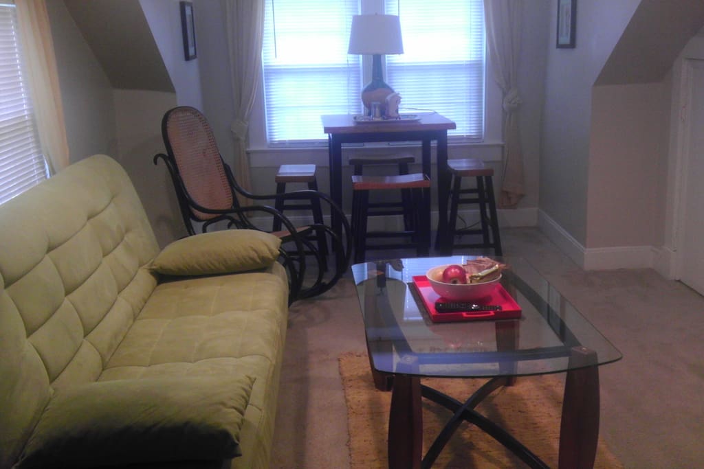 Living Room / Dining Area