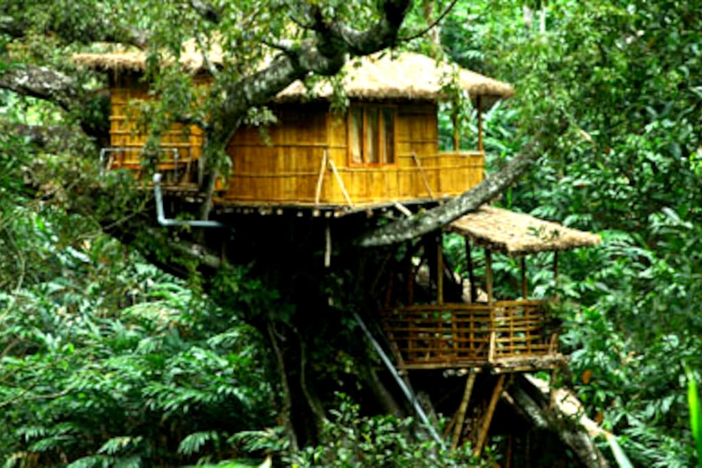 Tree house