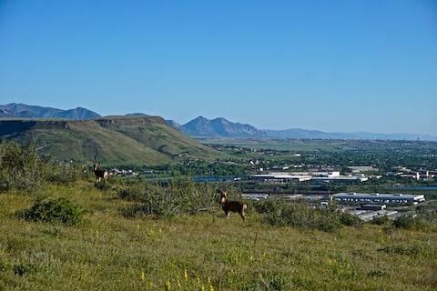 Red Rocks Golden Gateway to the Rockies King Beds