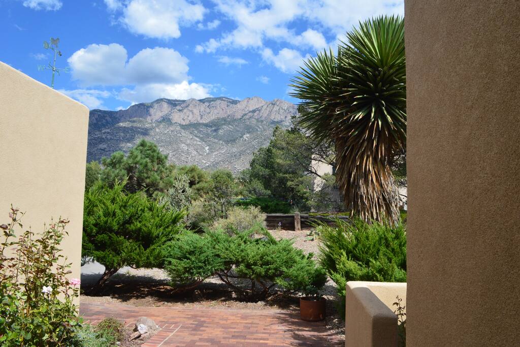 View looking East from the Front Door!