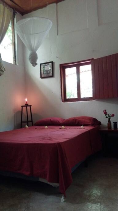beautiful room with a view to the garden