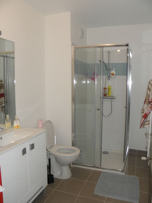 salle de bain avec douche