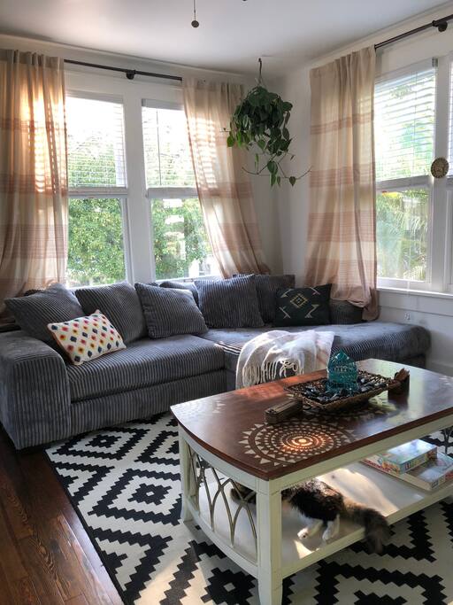 this couch is large and comfy enough to sleep on, There are extra blankets and pillows, Board games! (Cat not included)