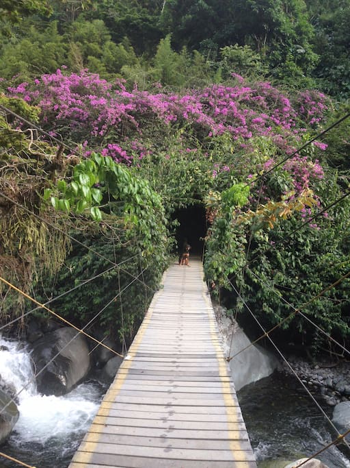 This is the entrance to the plot. Cross the bridge and go to the left.