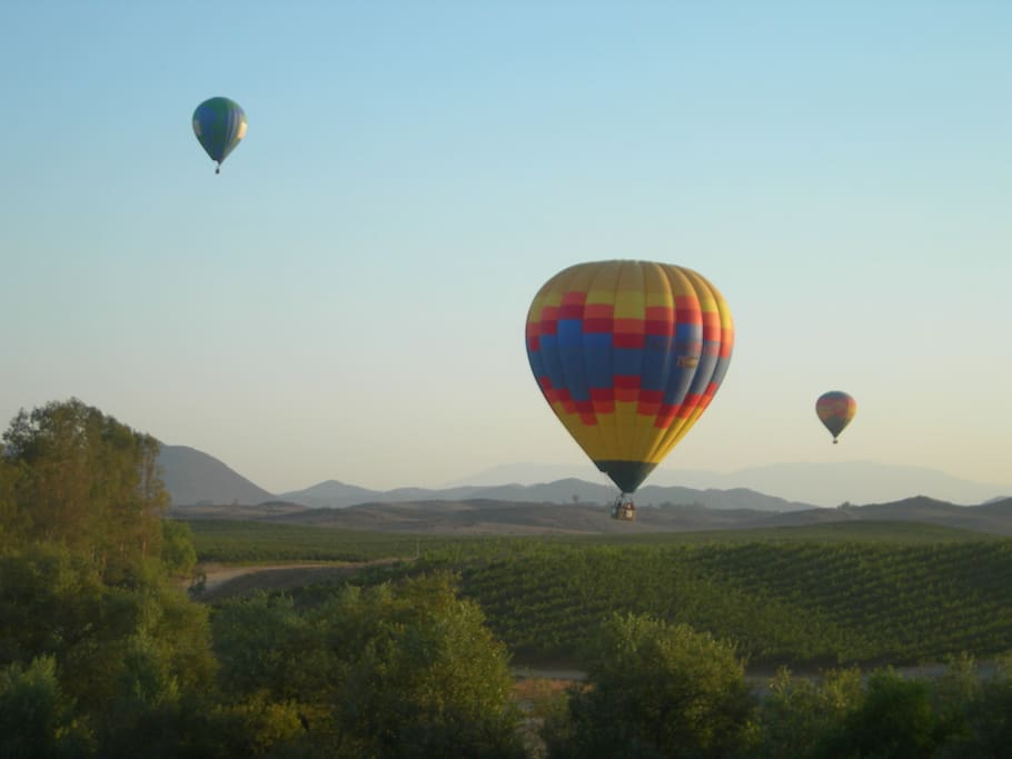 See hot air ballons in the backyard