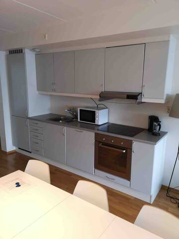 Oslo city center-3Rooms apartment gallery image 2