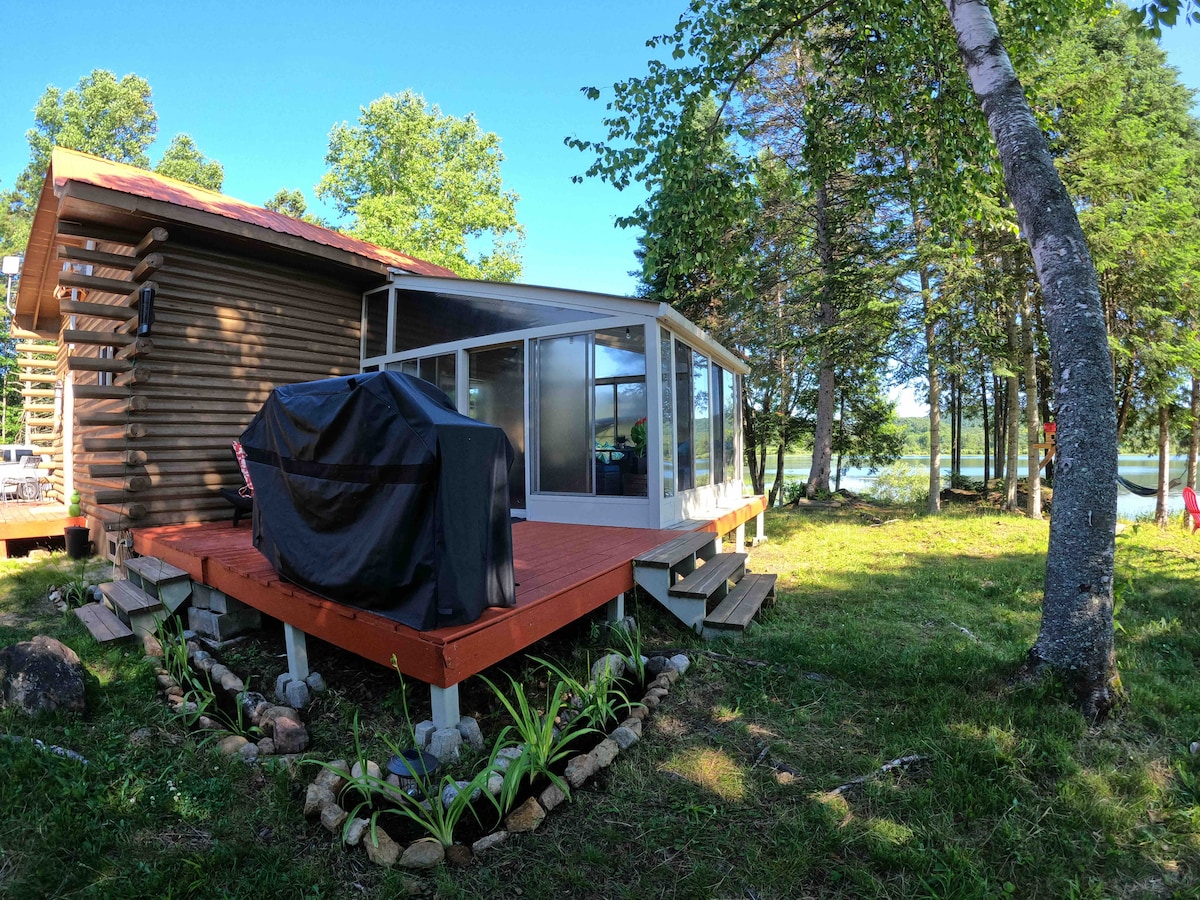 A rustic chalet features a large deck with a grill, surrounded by natural landscaping. A sunroom with large glass windows offers views of the lake, while trees provide shade nearby. The setting reflects tranquility and the beauty of nature.