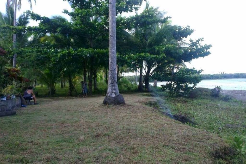 Frontyard