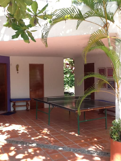 Ping Pong