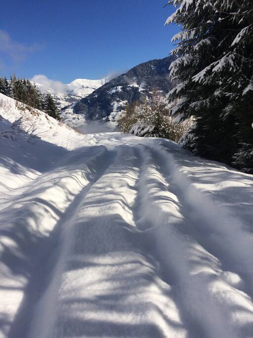 Chemin d'accès / winter road