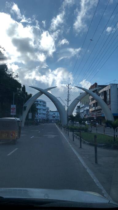 Tusks in town on moi avenue