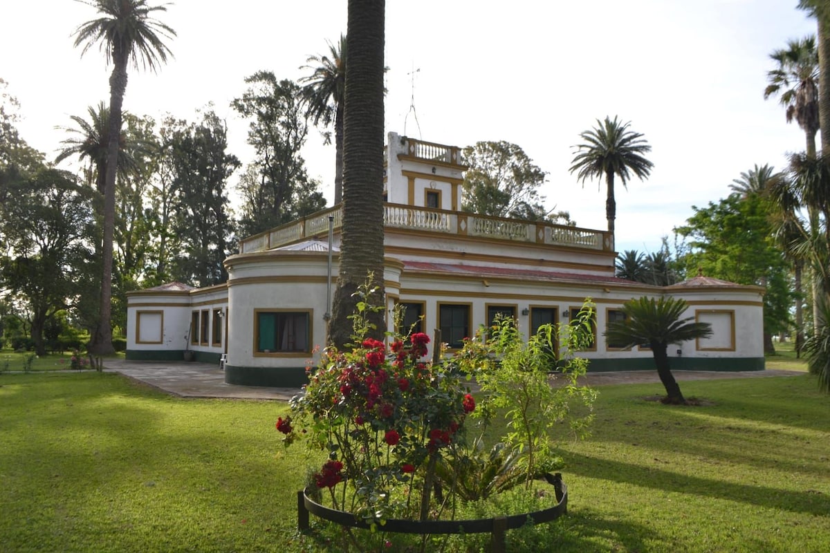 The house is surrounded by lush greenery, showcasing a garden with a circular flower bed filled with vibrant red roses. Palm trees stand tall in the background, and the building's architecture features a spacious terrace above and large windows on the first level.