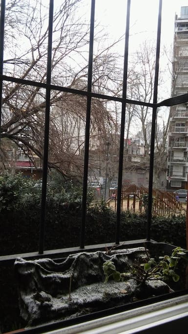 la vista al parque,lo que da mucha luminosidad,desde el dormitorio