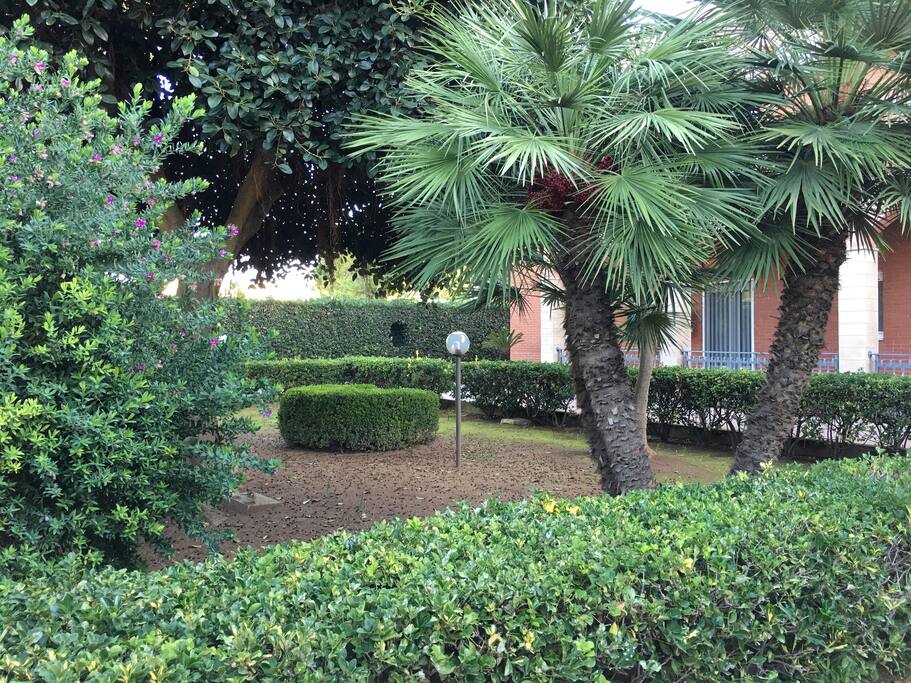 Giardino 1/2