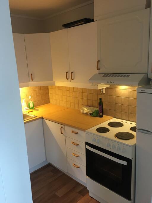 Kitchen w/combined freezer and fridge