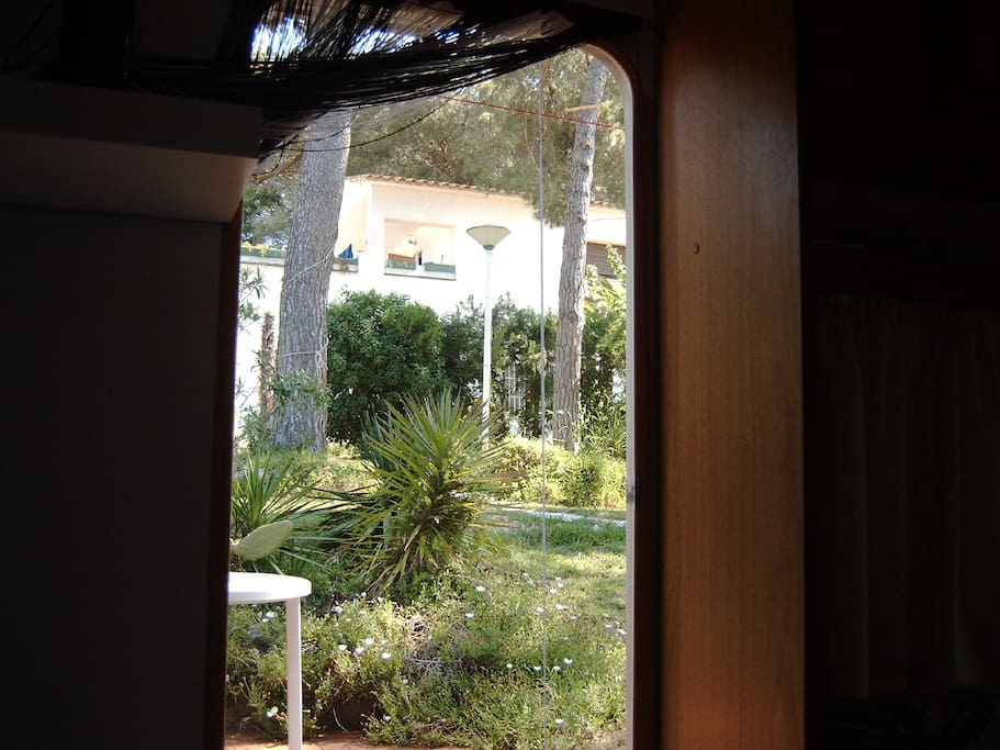 Blick aus der Tür in den Garten