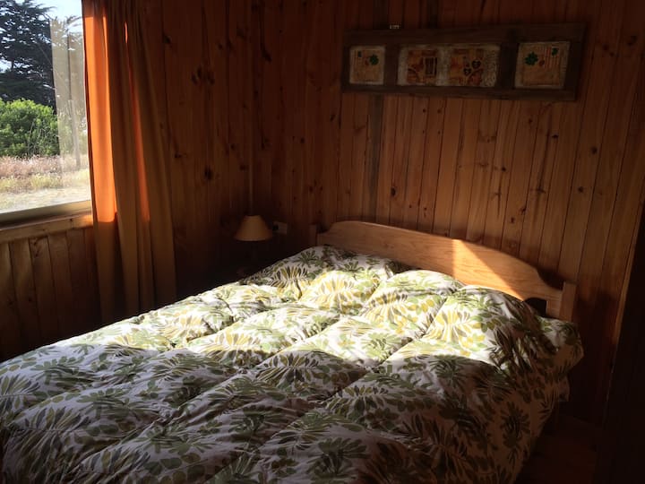 Habitación 1