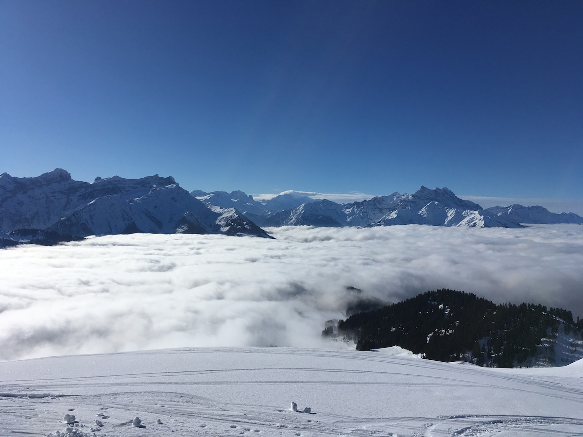 A vast snow-covered landscape is presented, with majestic mountain peaks emerging above a sea of clouds. The clear blue sky enhances the scene, creating an expansive view that encapsulates the serene beauty of the alpine environment.