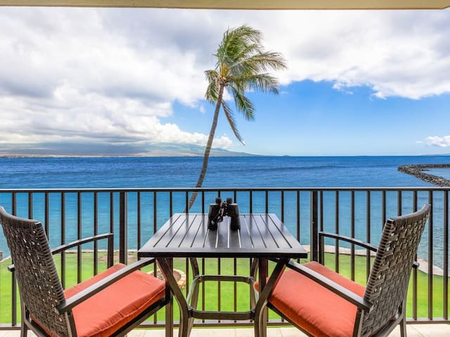 Look No Further-Views-Turtles-Beaches-Winter Rate!