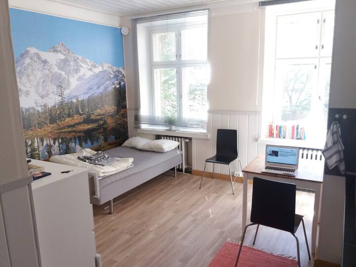 Bright 1 room flat in the heart of Helsinki