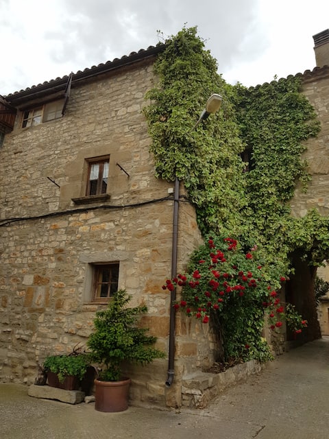 La Casa del Portal. Srednjovjekovni gradovi okruženi poljima