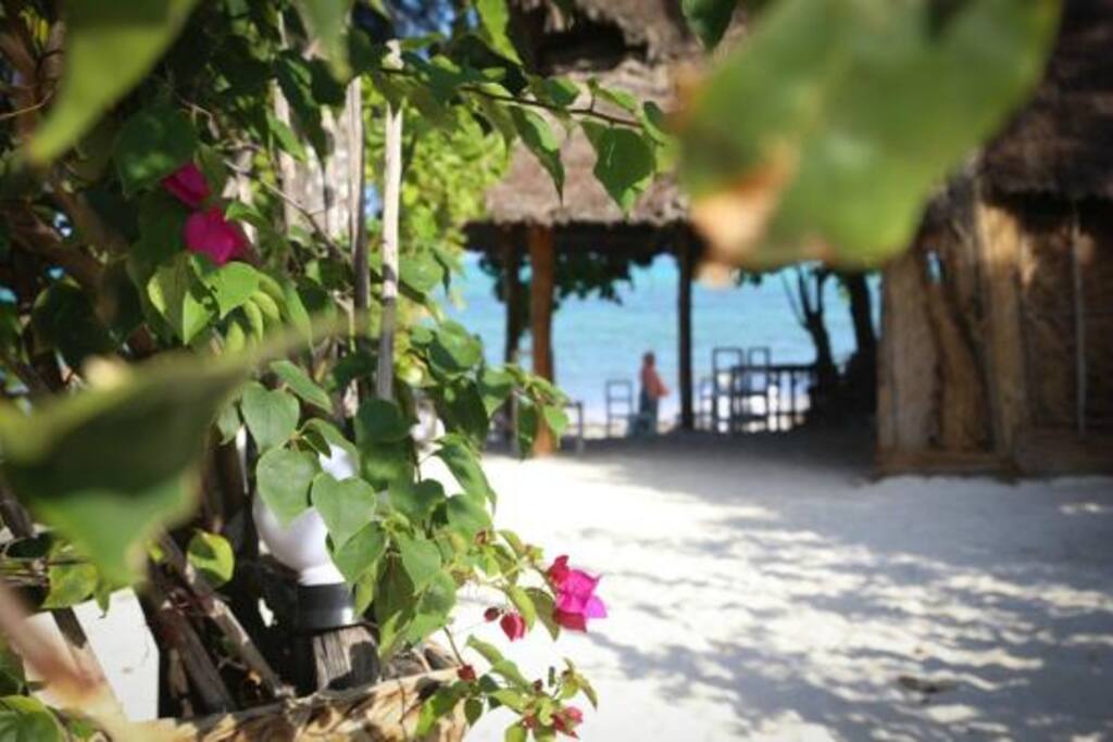 Beach garden