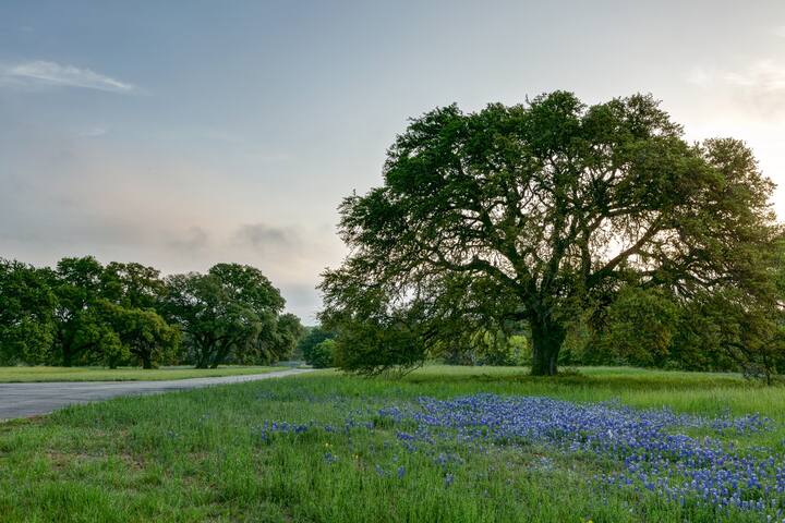 Beautiful Boutique Lodge & Vineyard gallery image 3