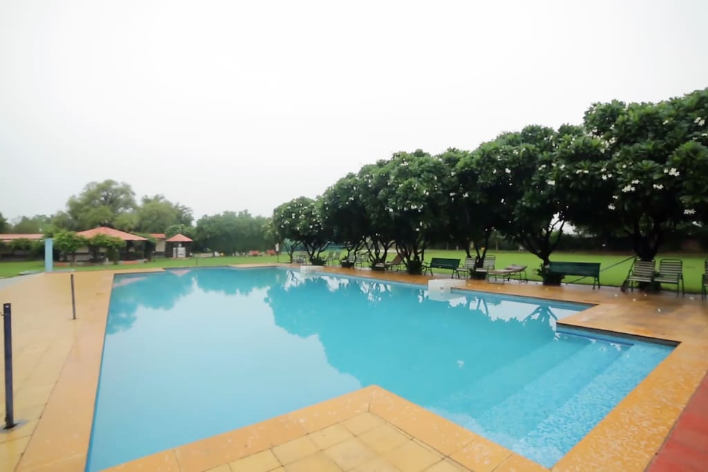 Resort Garden Swimming Pool