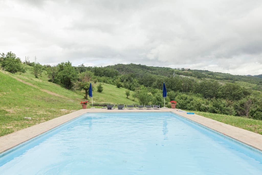Lovely 12m x 6m pool with umbrellas and sun loungers