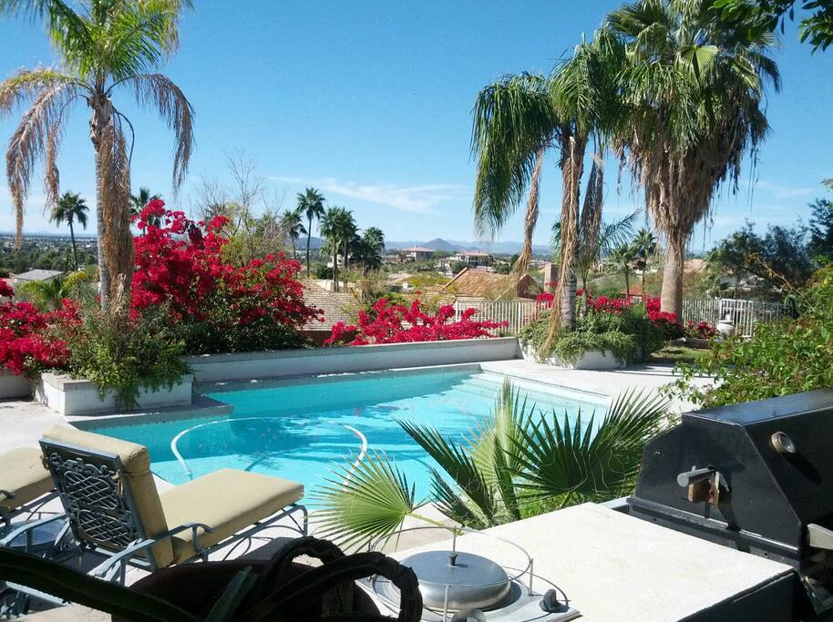 backyard with pool / BBQ and amazing views