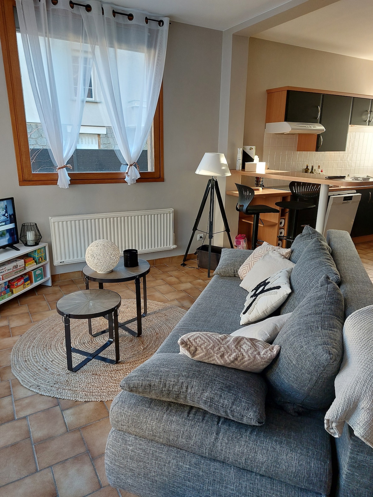 A cozy living area features a comfortable gray sofa adorned with decorative pillows. Two small tables sit atop a circular rug, accompanied by a floor lamp. Natural light enters through the window, which is dressed with light curtains, illuminating the inviting space.