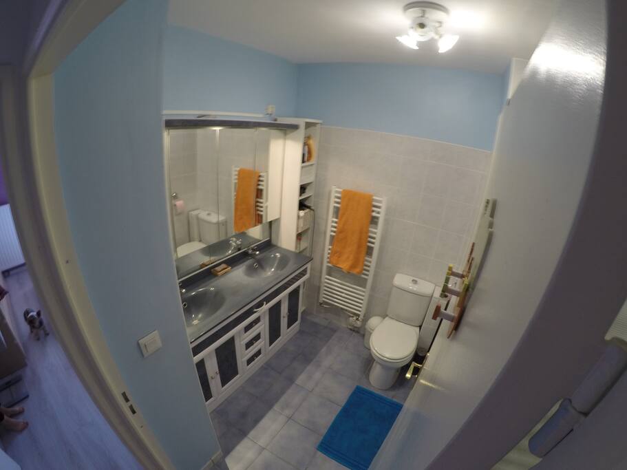 Salle de douche + double vasque
